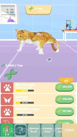 动物进化实验截图2 动物进化实验截图2