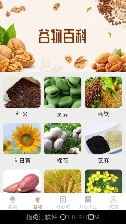 绿色菜园子截图1