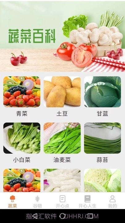 绿色菜园子截图4