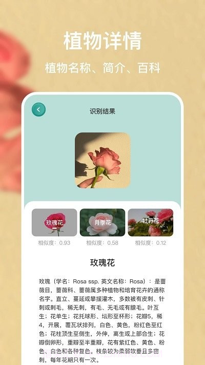 识别花大师截图3