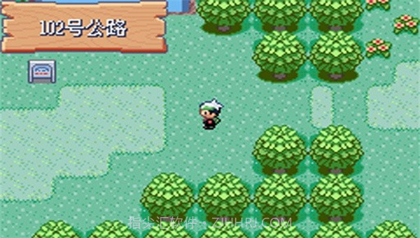 宝可梦剑盾全随机截图4 宝可梦剑盾全随机截图4