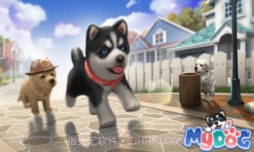 梦幻小狗截图1 梦幻小狗截图1