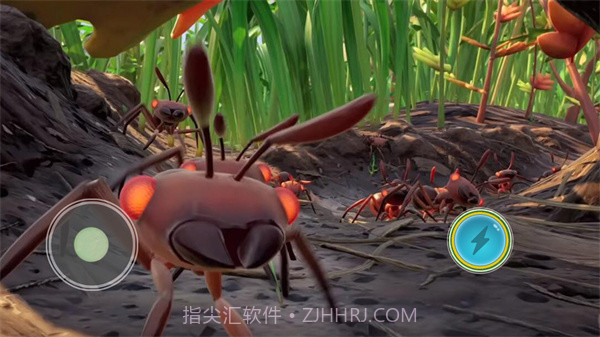 变异国度后院求生截图1 变异国度后院求生截图1