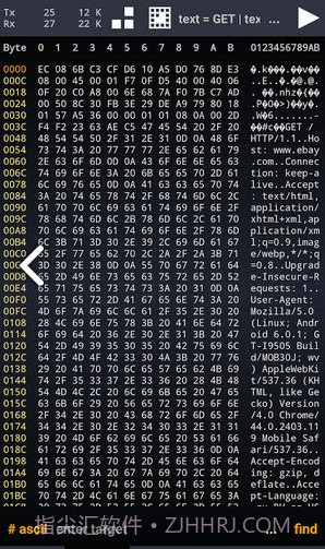 Wicap(wicap抓拦截)V2.1.1 安卓免费版截图1
