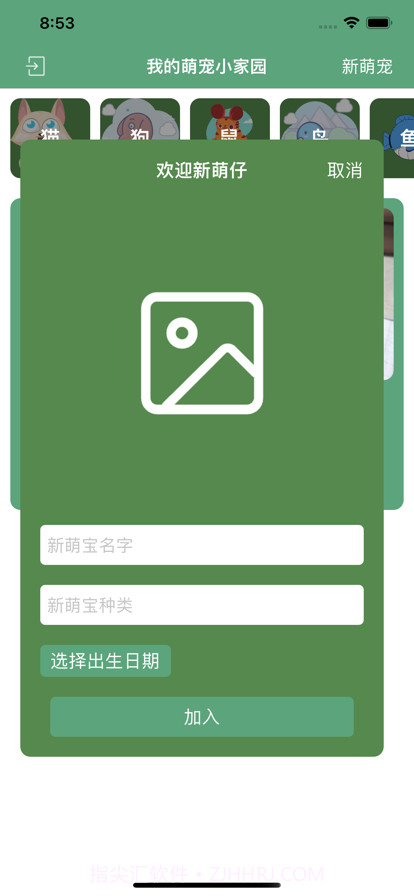 我的萌宠小家园截图3