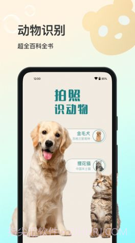 花卉识别大全截图2