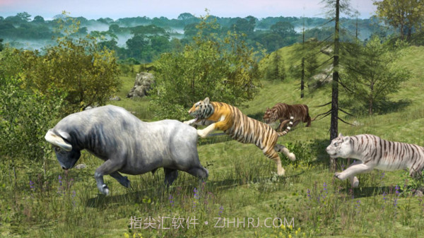 野生老虎模拟器截图2 野生老虎模拟器截图2