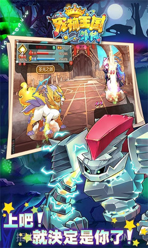 宠物王国外传全部宠物满级版截图3