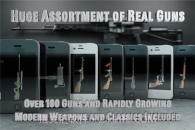 爱枪支专业版正式版截图3