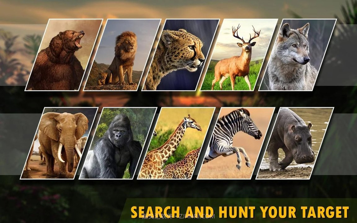 动物猎人2020单机版截图3