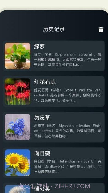 拍照识花大师截图2