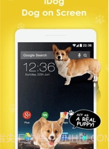 手机屏幕养狗截图1