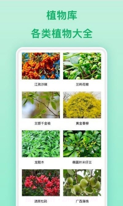 行色识物截图2 行色识物截图2