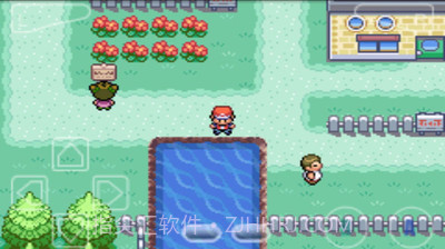 口袋妖怪叶绿截图3