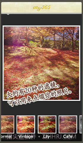 我的365天截图3 我的365天截图3