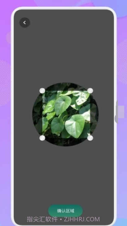 智能识图识物截图1