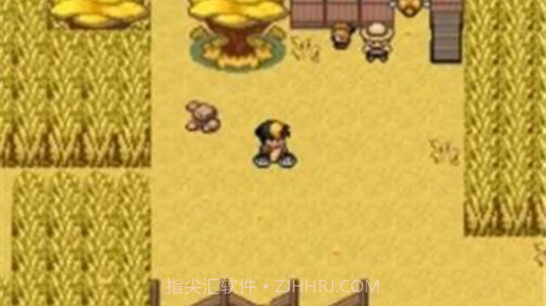 口袋妖怪九重天内置菜单汉化版截图3