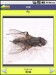 看图识字昆虫篇截图4