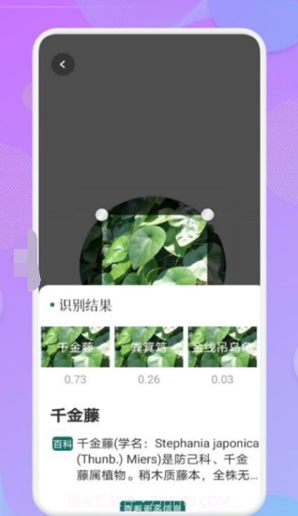 智能识图识物截图2