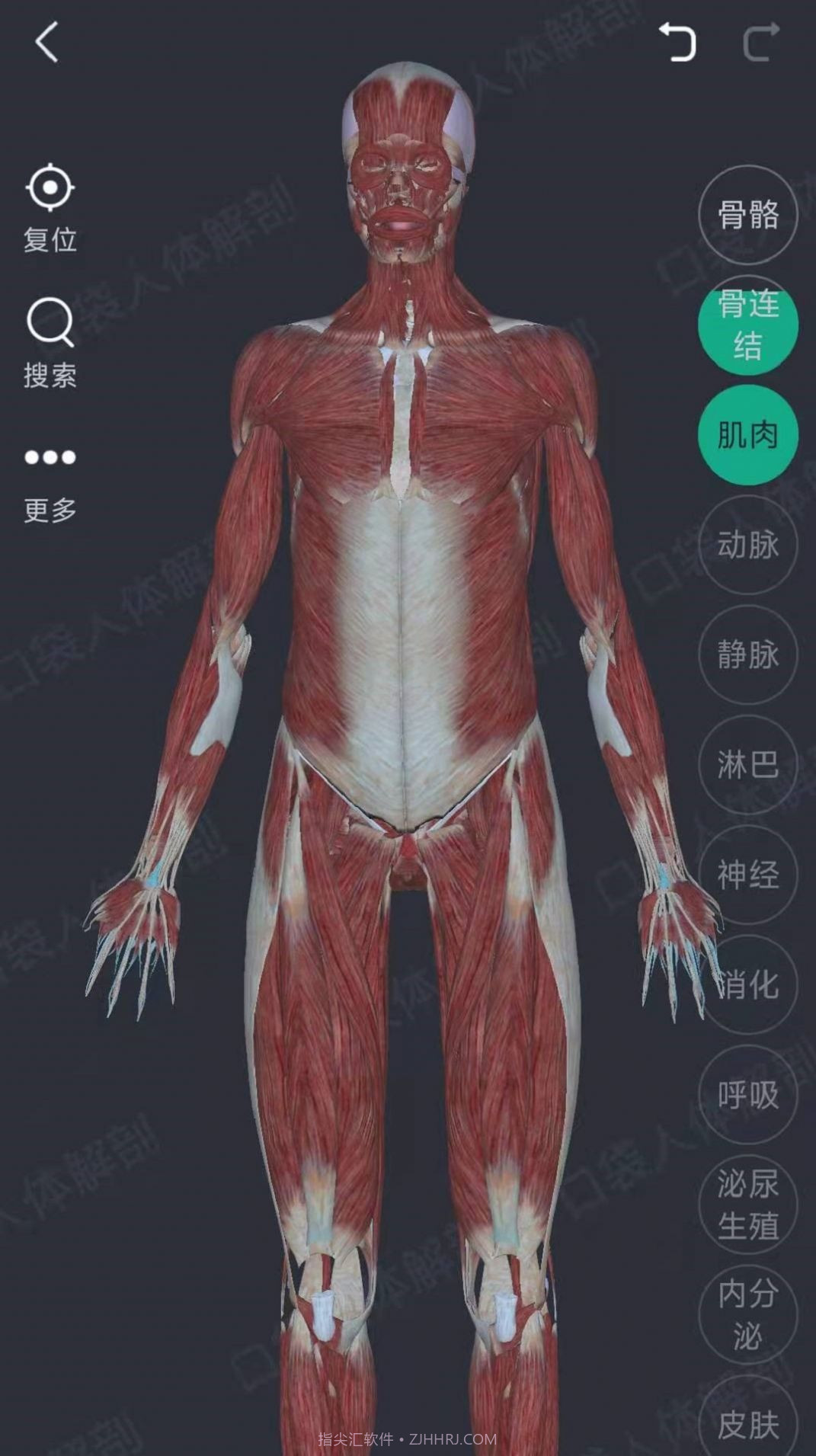 万康人体解剖截图2 万康人体解剖截图2