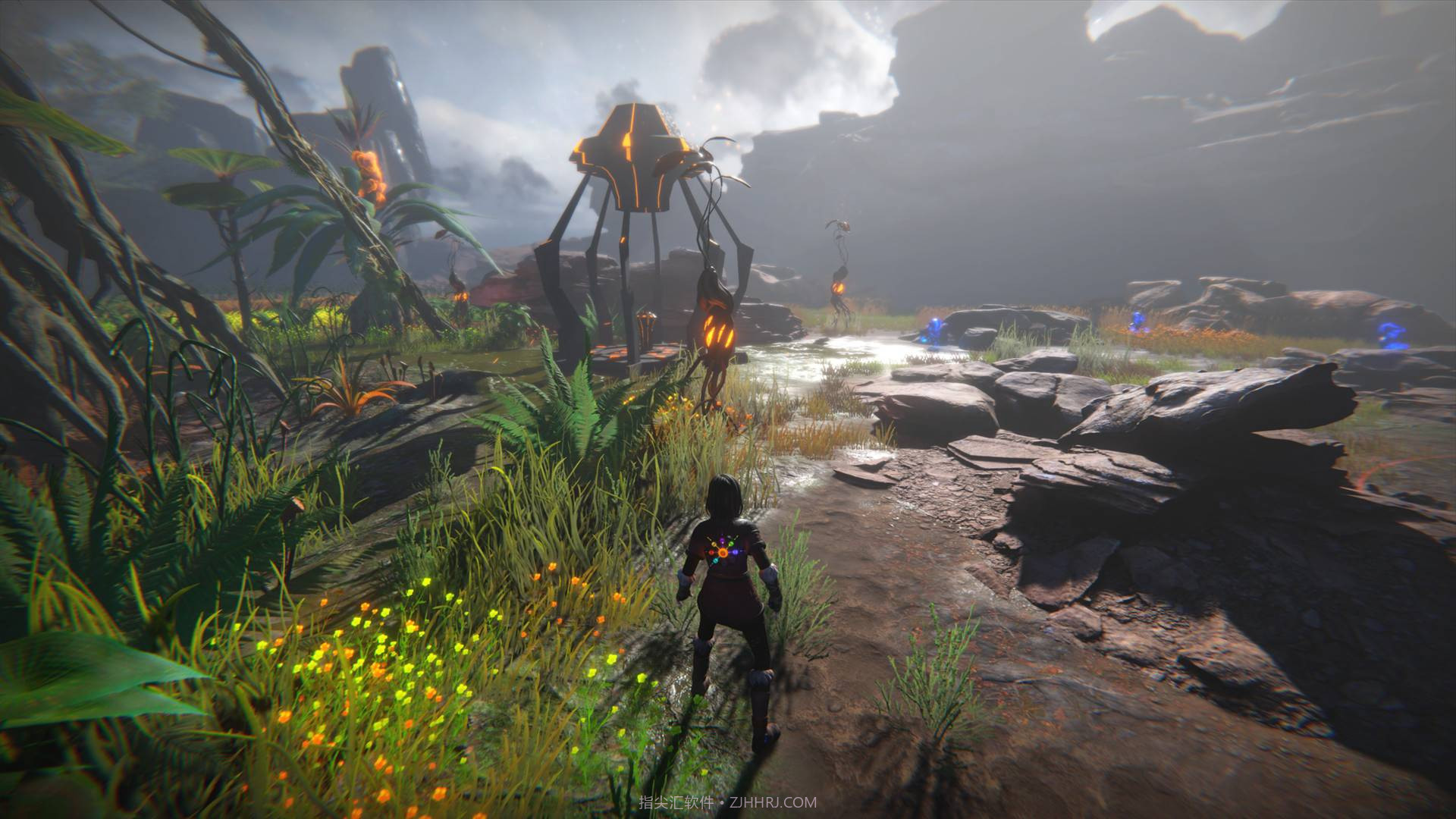 生命之种Seed of Life截图6