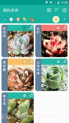 多肉成长记截图1 多肉成长记截图1