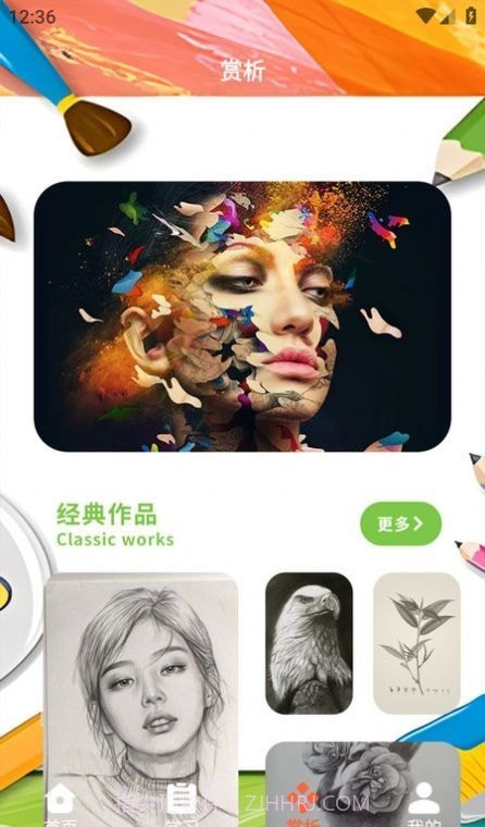 半岛应用平台截图1