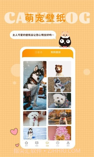 猫语狗语转换器截图5