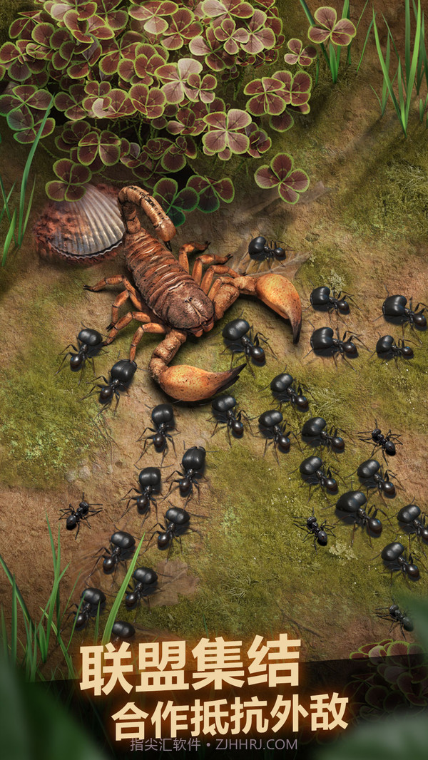 小小蚁国截图5