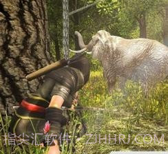 猎鹿王2021截图4