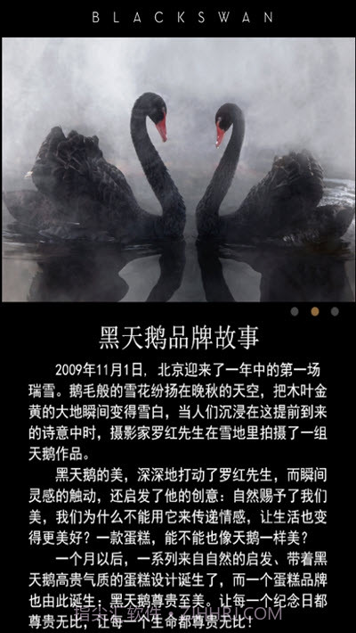 黑天鹅蛋糕截图2