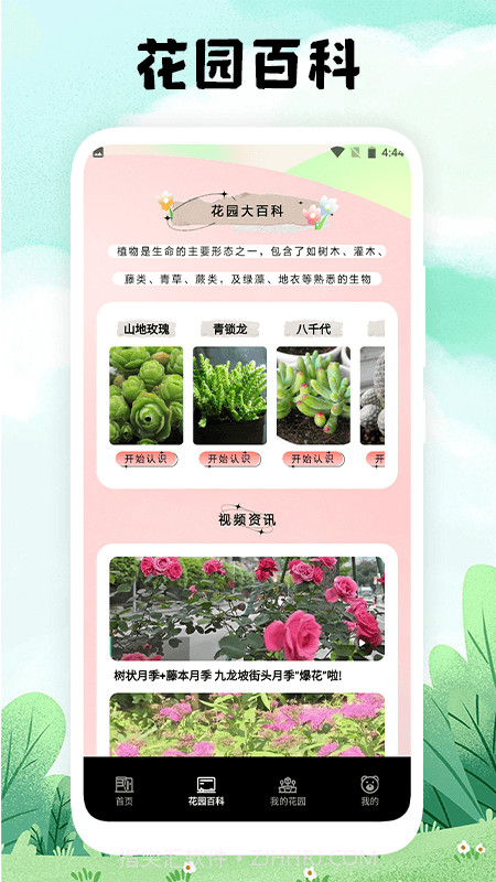 万物识图手机版截图4 万物识图手机版截图4