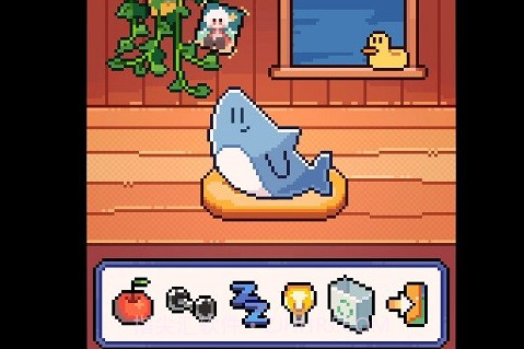 我的小鲨鱼手机版截图1