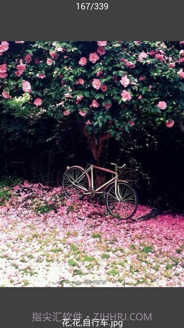 All图片批量下载截图3 All图片批量下载截图3