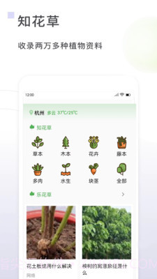 一花草截图1 一花草截图1