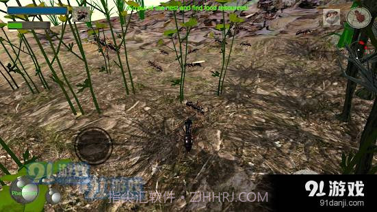 3d蚂蚁模拟器中文版截图2