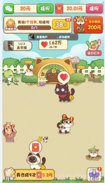 我家猫舍2023截图1 我家猫舍2023截图1