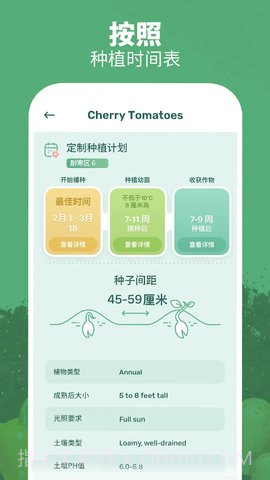 繁花盛开截图4 繁花盛开截图4