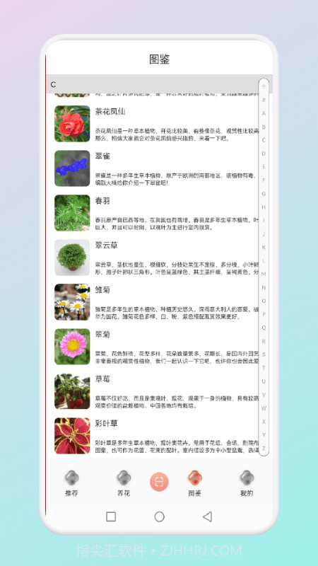 拍照识花草截图3