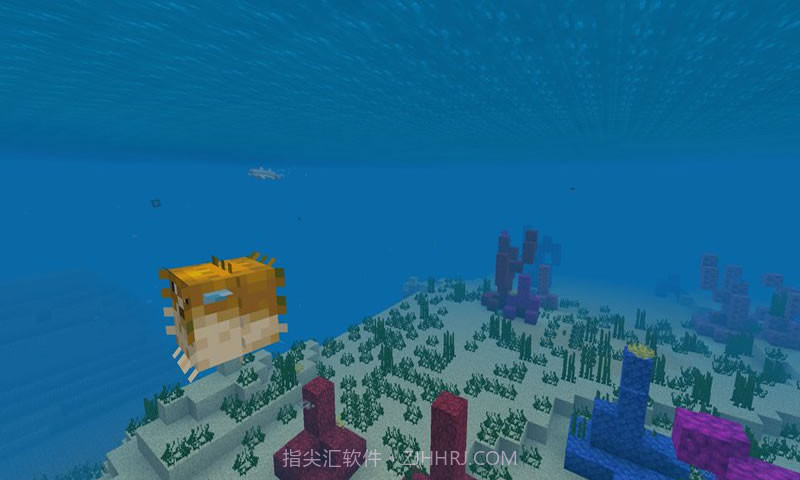 我的世界海洋最新版截图2 我的世界海洋最新版截图2