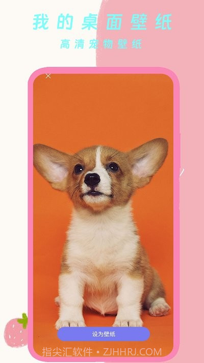 我的桌面壁纸截图1 我的桌面壁纸截图1