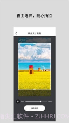 道简视频组件工具截图2