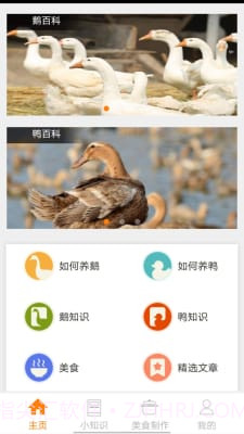 鹅鸭之家截图1 鹅鸭之家截图1