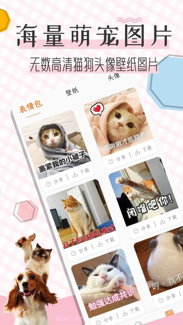 猫语翻译宝截图4