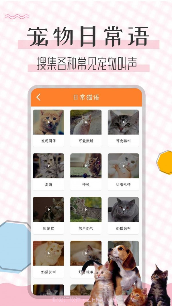 猫语翻译宝截图3