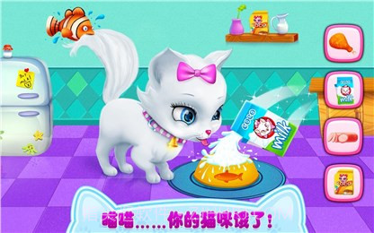 我的喵星朋友截图1