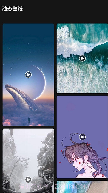 lr壁纸大全截图2