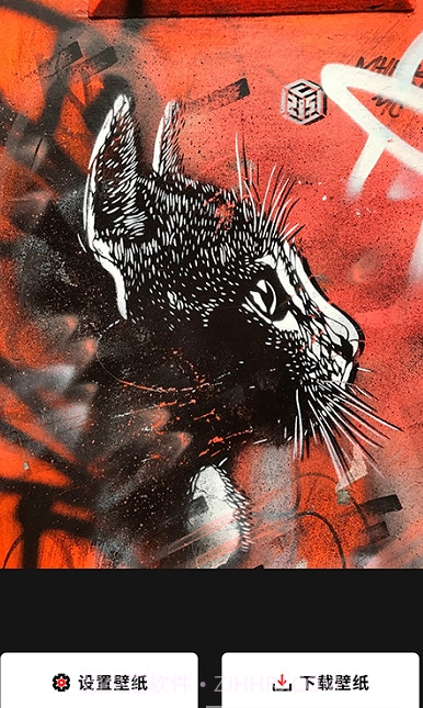 lr壁纸大全截图1