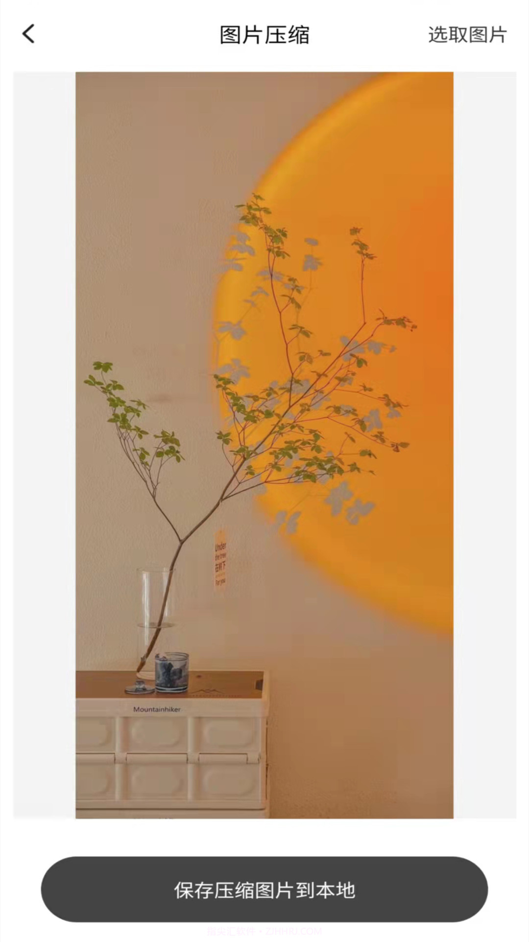 兔子下载截图3 兔子下载截图3