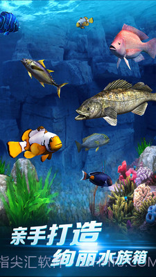 啪啪钓鱼免费版截图3 啪啪钓鱼免费版截图3